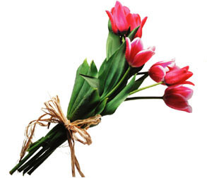 image file name: 2k30d0d5a265.jpg